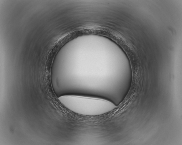 X0000111480822200907141041
