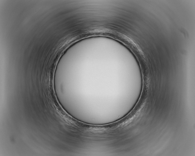 X0000111480825200907141041