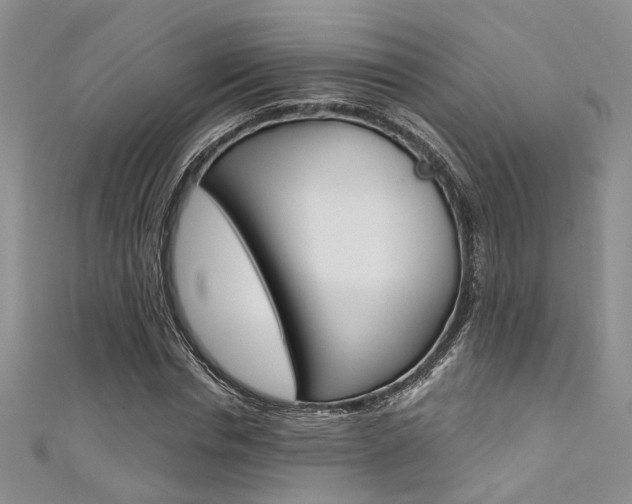 X0000111480826200907141041
