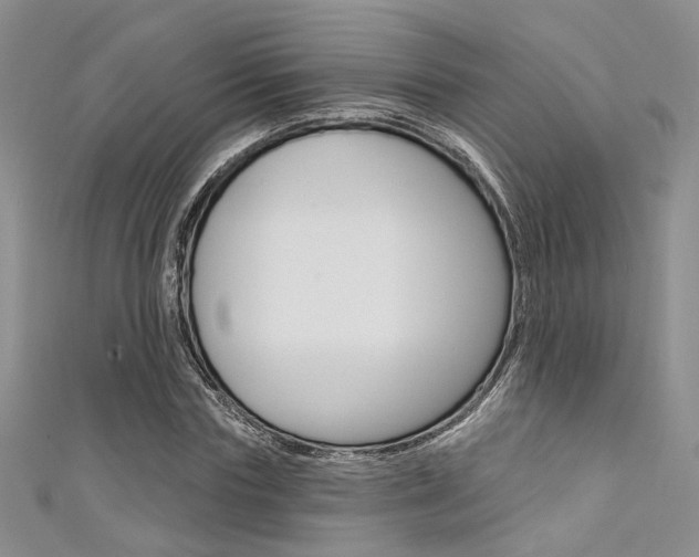X0000111480827200907141041
