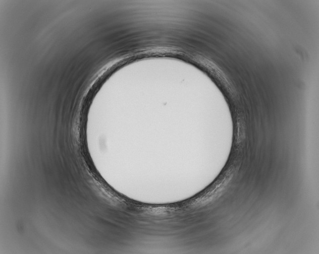 X0000111480828200907141041