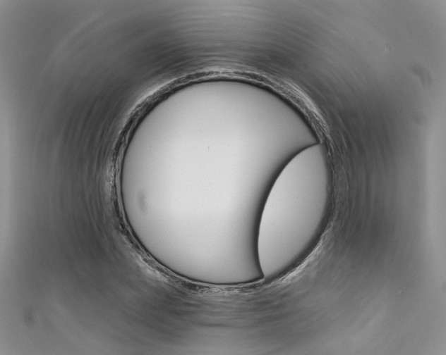 X0000111480831200907141041