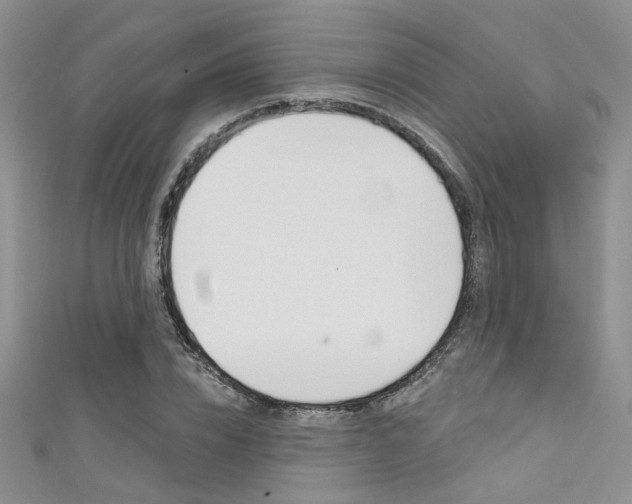 X0000111480832200907141041
