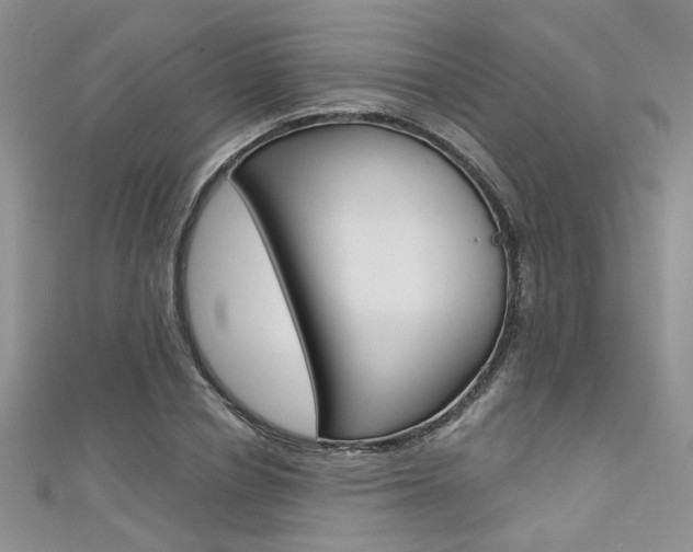 X0000111480834200907141041