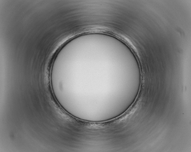 X0000111480835200907141041