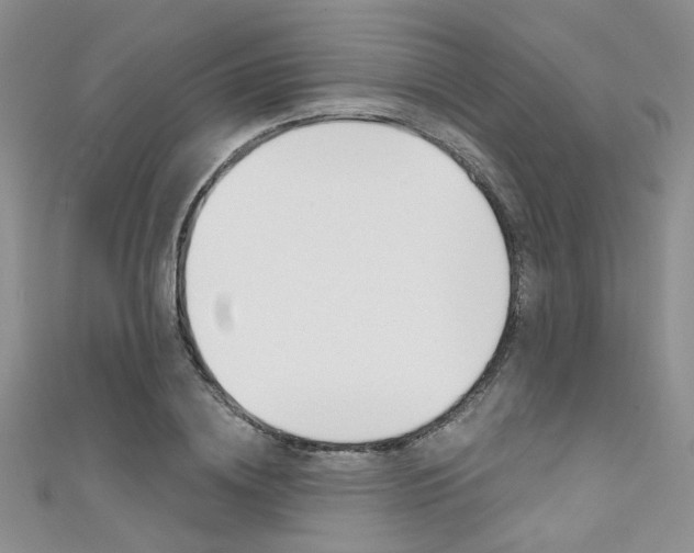 X0000111480836200907141041
