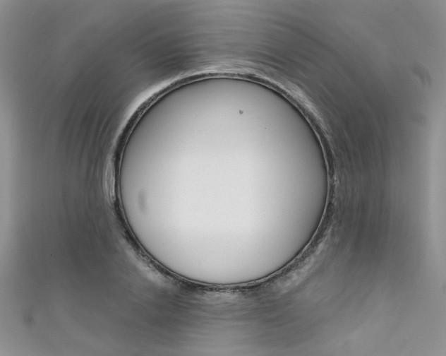X0000111480838200907141041