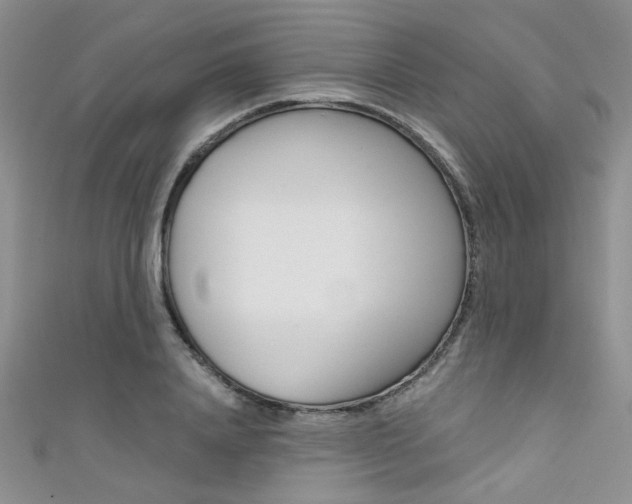 X0000111480840200907141041