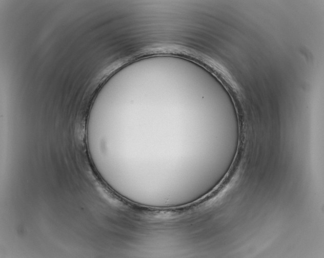X0000111480841200907141041