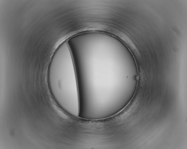 X0000111480842200907141041