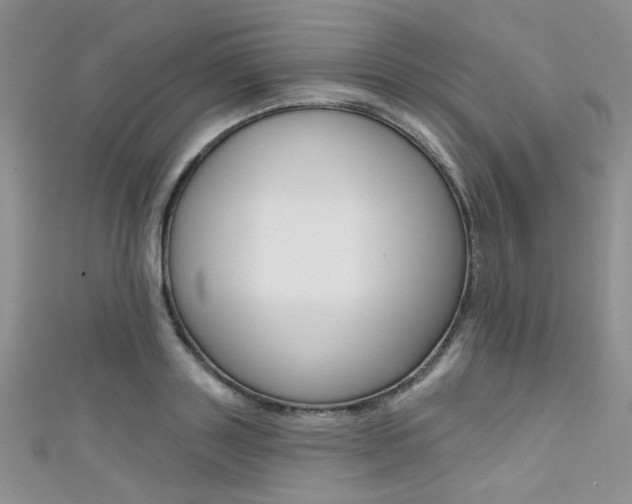 X0000111480843200907141041