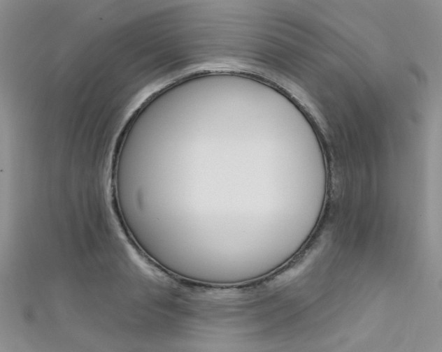 X0000111480845200907141041