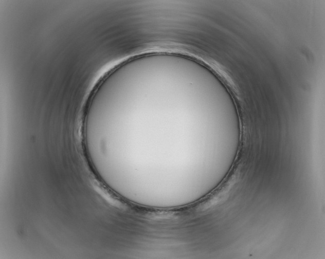 X0000111480846200907141041
