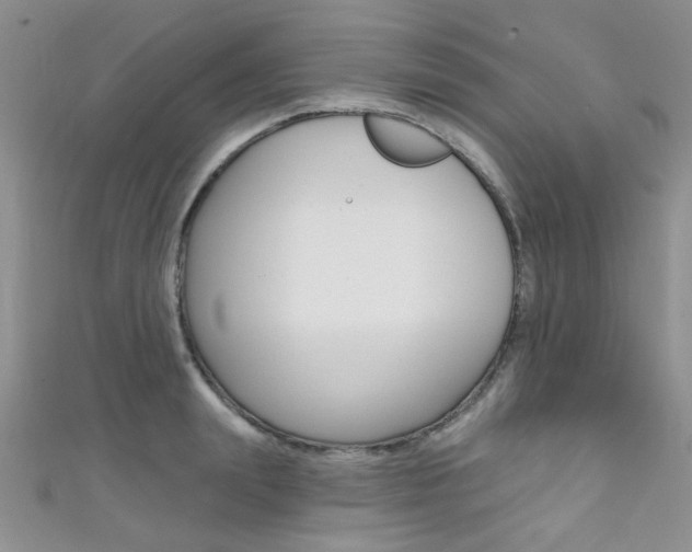 X0000111480847200907141041