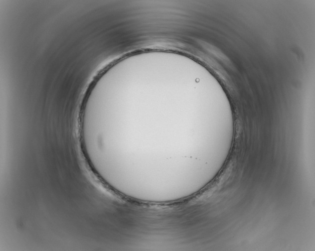 X0000111480848200907141041
