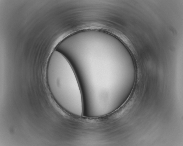 X0000111480850200907141041