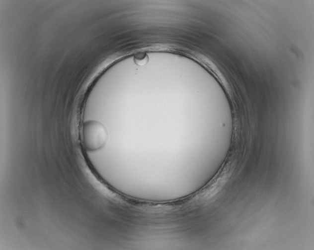 X0000111480851200907141041