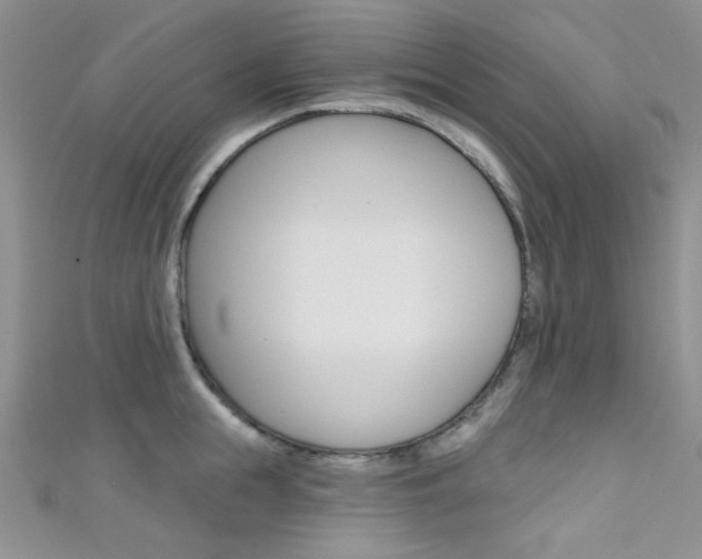 X0000111480855200907141041