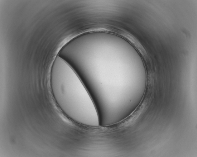 X0000111480858200907141041