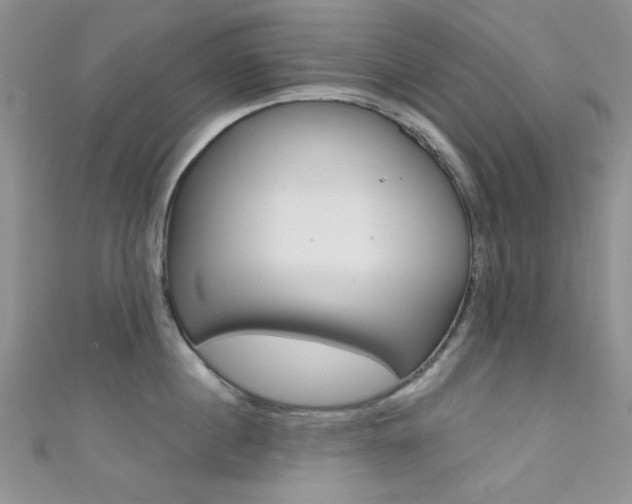 X0000111480860200907141041