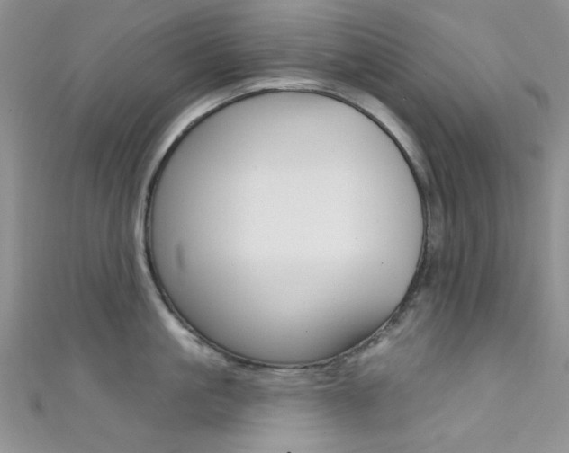 X0000111480861200907141041
