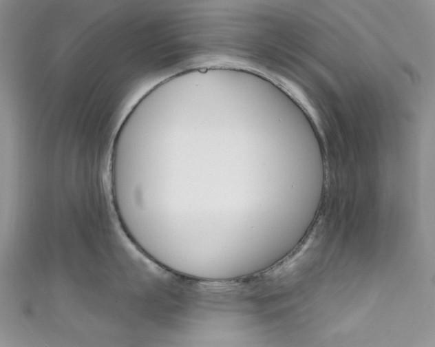 X0000111480863200907141041