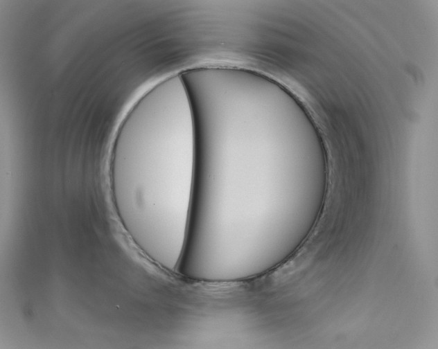 X0000111480864200907141041