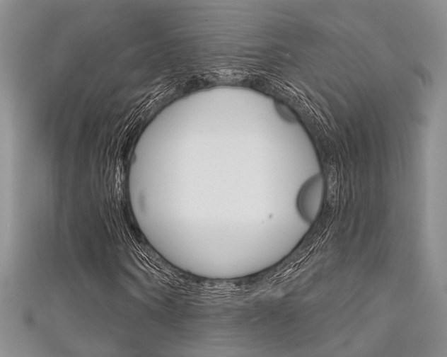 X0000111480866200907141041