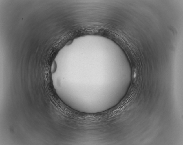 X0000111480867200907141041