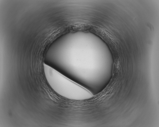 X0000111480868200907141041