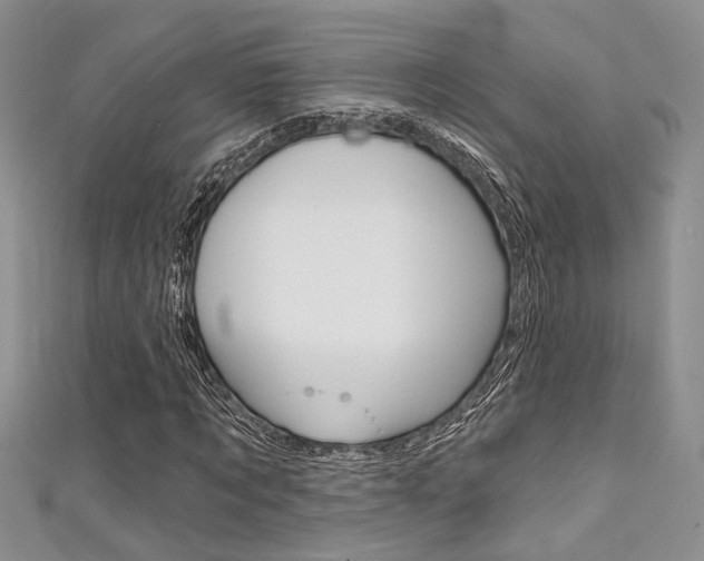 X0000111480869200907141041