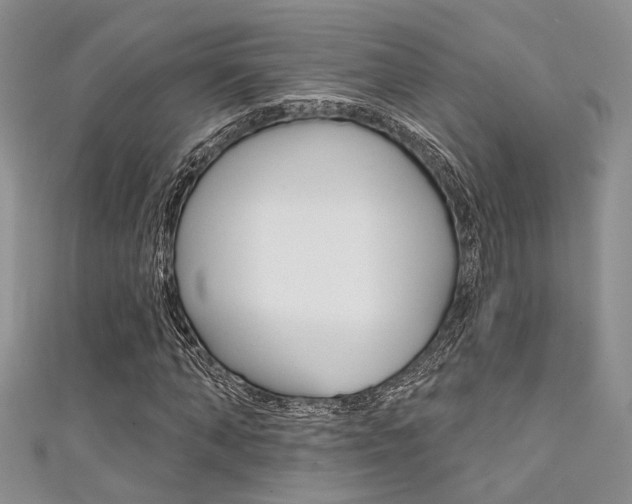 X0000111480870200907141041