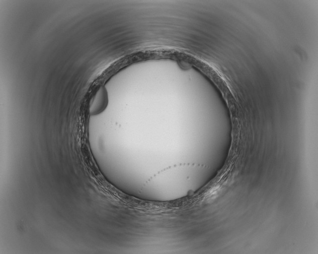 X0000111480871200907141041