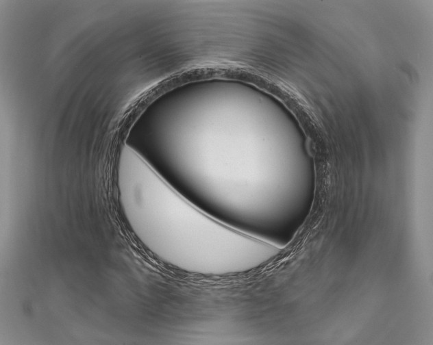 X0000111480872200907141041