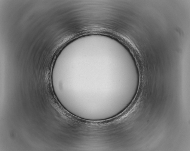 X0000111480873200907141041