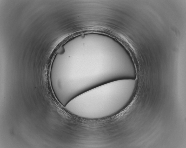 X0000111480875200907141041