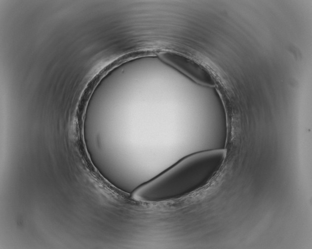 X0000111480876200907141040