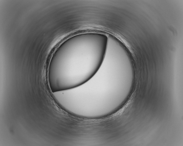 X0000111480877200907141040