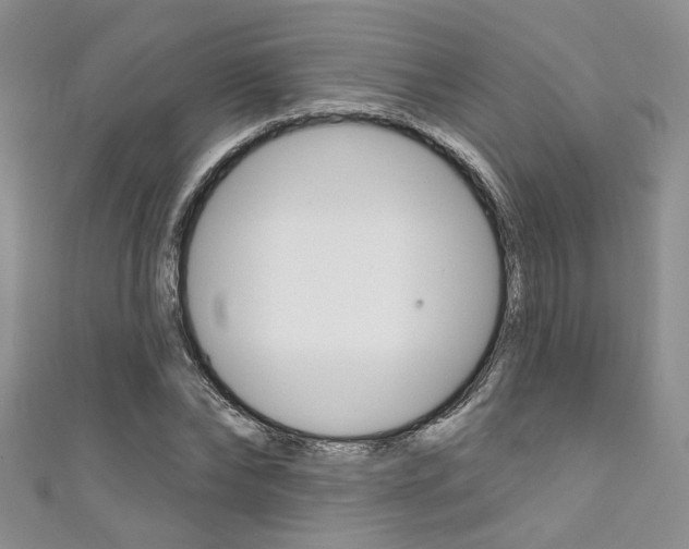 X0000111480878200907141040