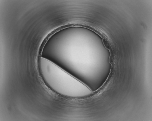 X0000111480880200907141040