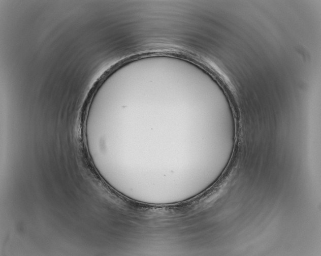 X0000111480883200907141040