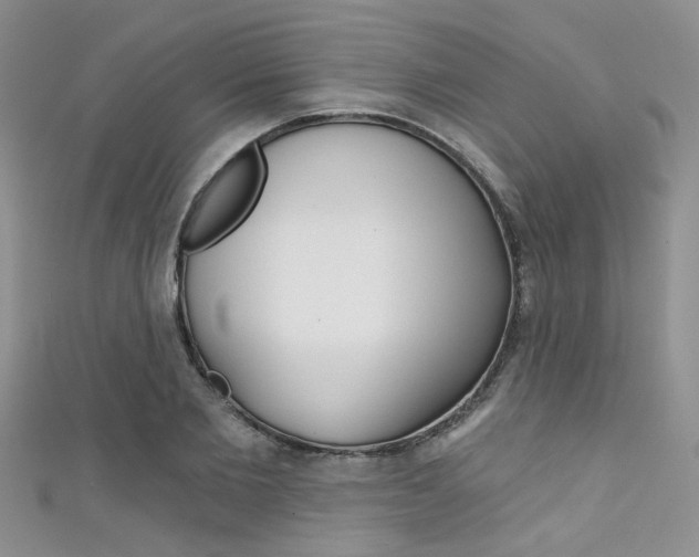 X0000111480885200907141040