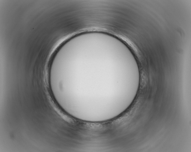 X0000111480886200907141040