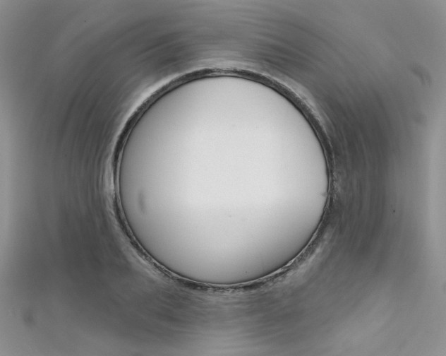 X0000111480887200907141040