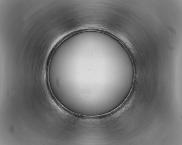 X0000111480888200907141040