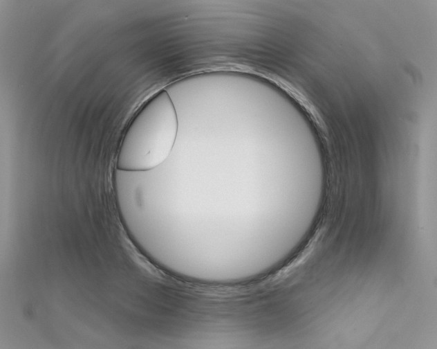 X0000111480889200907141040