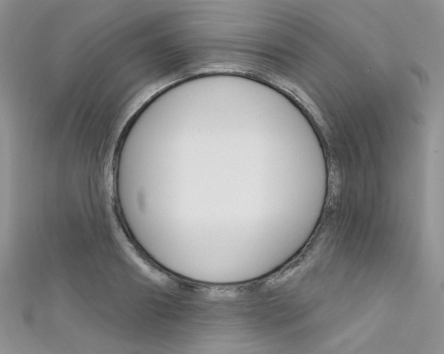 X0000111480890200907141040