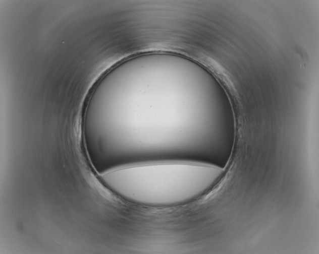 X0000111480892200907141040