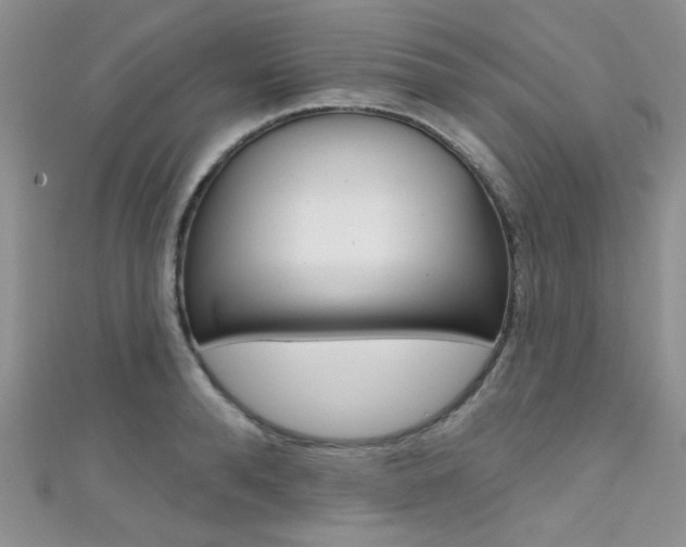 X0000111480896200907141040
