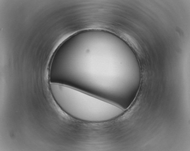 X0000111480900200907141040